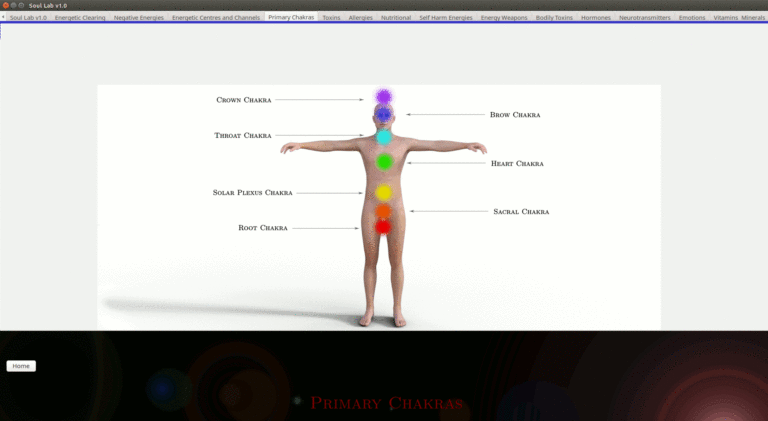 primary-chakras