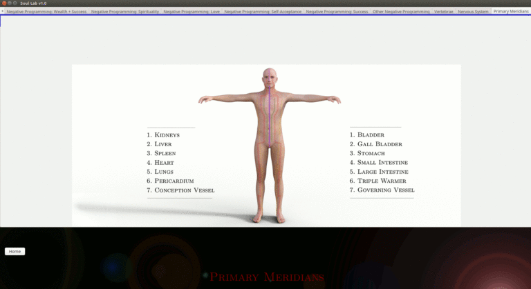 Soul Lab primary meridians screen